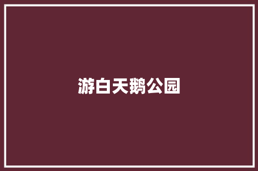 游白天鹅公园