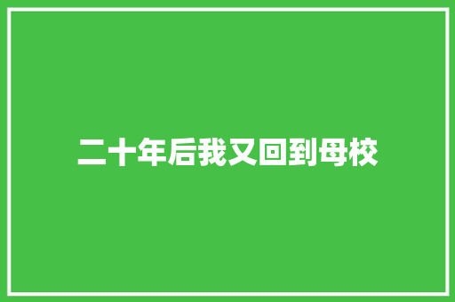 二十年后我又回到母校