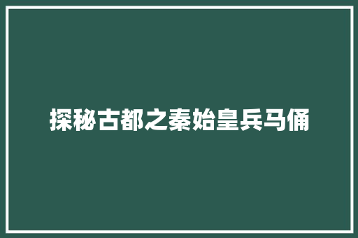 探秘古都之秦始皇兵马俑