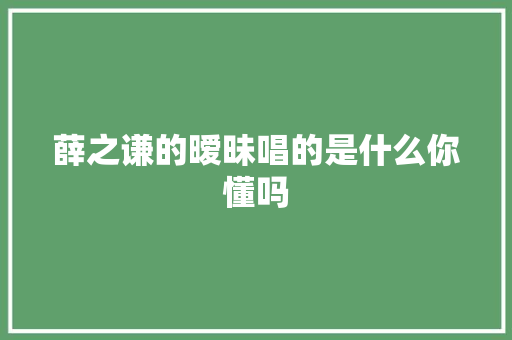 薛之谦的暧昧唱的是什么你懂吗