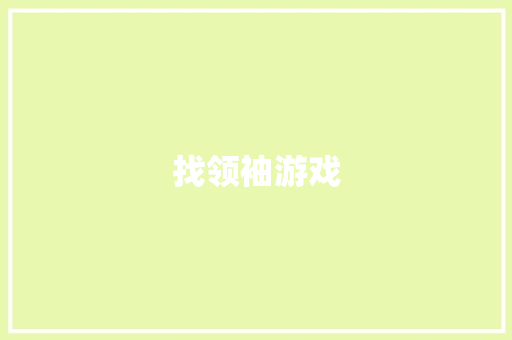 找领袖游戏