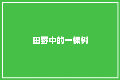 田野中的一棵树