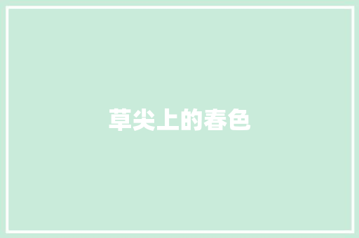 草尖上的春色