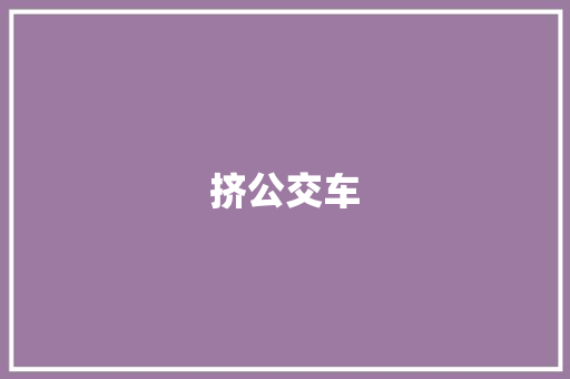 挤公交车