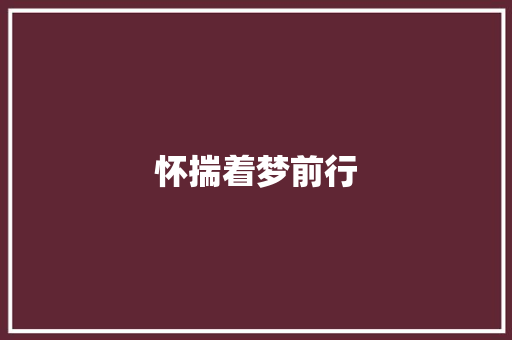 怀揣着梦前行