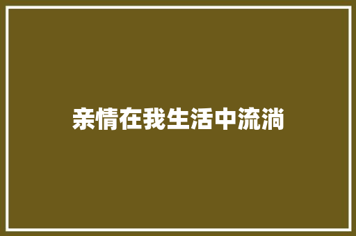 亲情在我生活中流淌