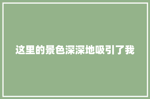 这里的景色深深地吸引了我