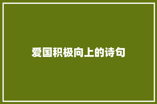 爱国积极向上的诗句