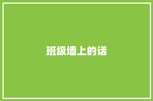 班级墙上的话