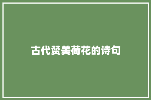 古代赞美荷花的诗句