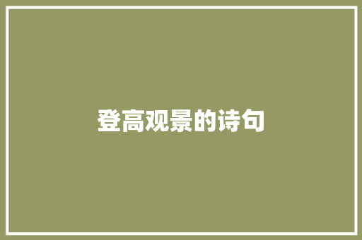 登高观景的诗句