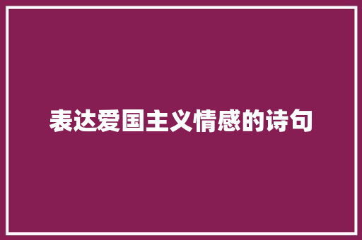 表达爱国主义情感的诗句
