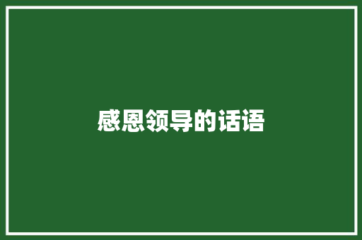 感恩领导的话语