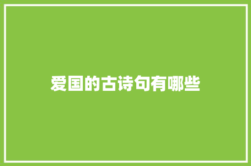 爱国的古诗句有哪些