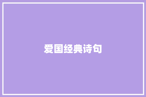 爱国经典诗句