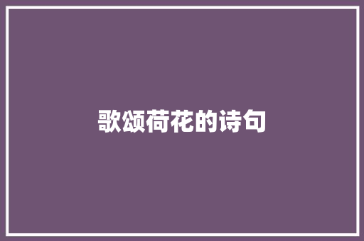 歌颂荷花的诗句