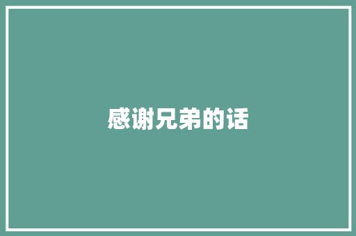 感谢兄弟的话
