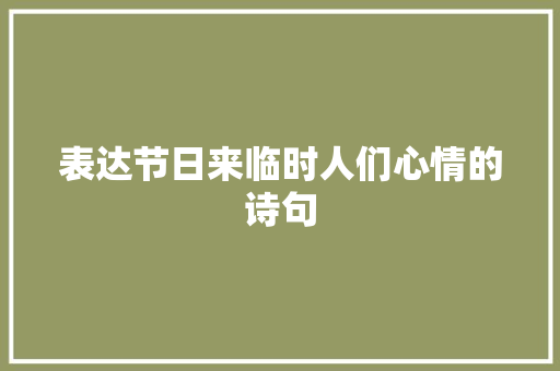 表达节日来临时人们心情的诗句