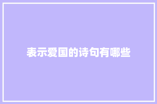 表示爱国的诗句有哪些
