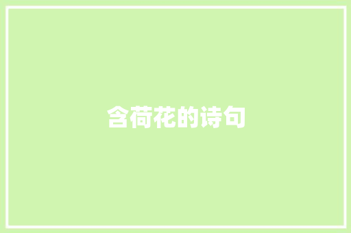 含荷花的诗句