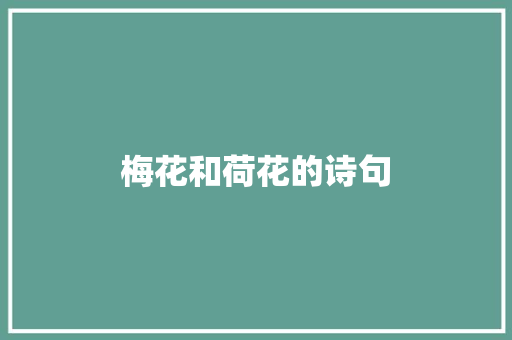 梅花和荷花的诗句