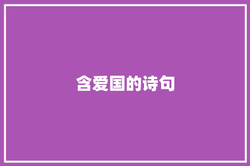 含爱国的诗句
