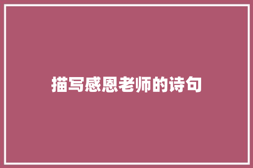 描写感恩老师的诗句