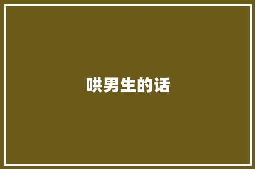 哄男生的话