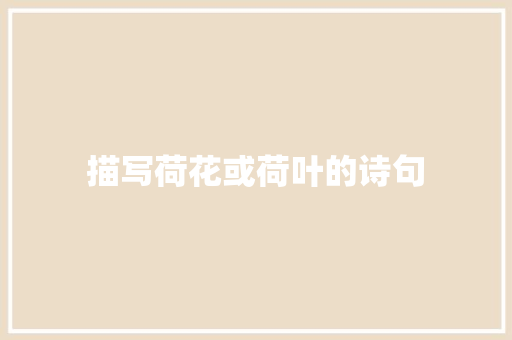 描写荷花或荷叶的诗句