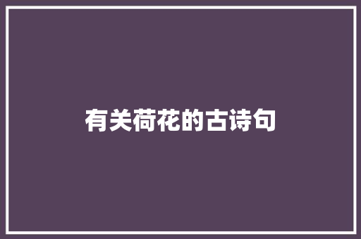 有关荷花的古诗句