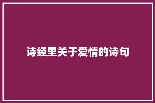 诗经里关于爱情的诗句