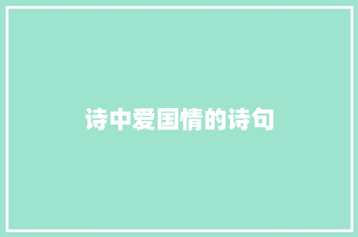 诗中爱国情的诗句