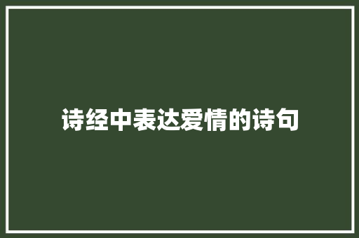 诗经中表达爱情的诗句