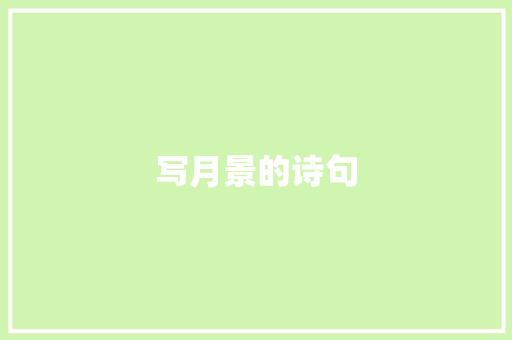 写月景的诗句