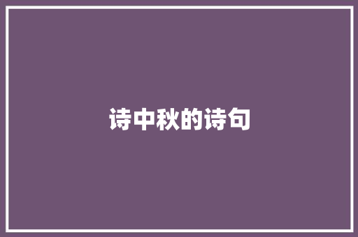 诗中秋的诗句