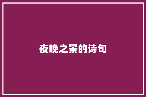 夜晚之景的诗句