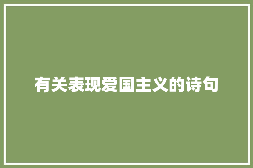 有关表现爱国主义的诗句