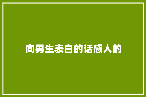 向男生表白的话感人的
