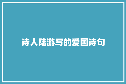 诗人陆游写的爱国诗句