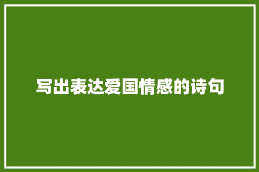 写出表达爱国情感的诗句