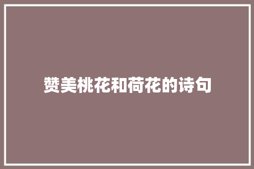 赞美桃花和荷花的诗句