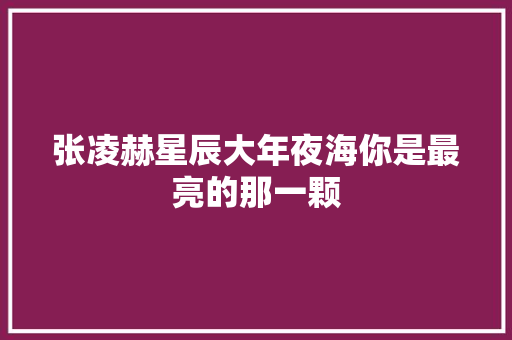 张凌赫星辰大年夜海你是最亮的那一颗 休闲娱乐