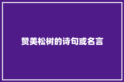 赞美松树的诗句或名言