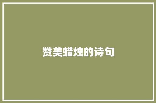 赞美蜡烛的诗句