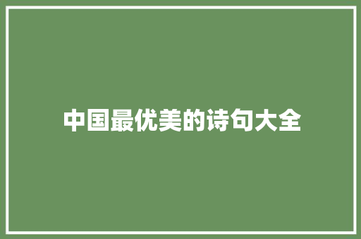 中国最优美的诗句大全