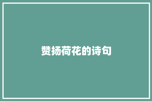 赞扬荷花的诗句