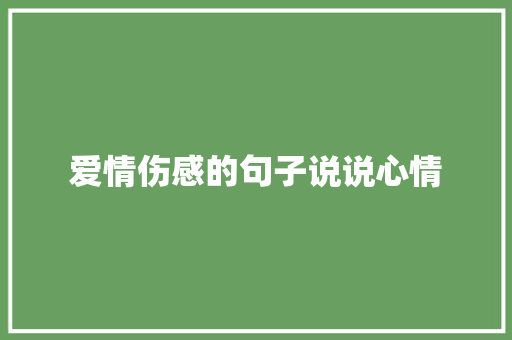 爱情伤感的句子说说心情