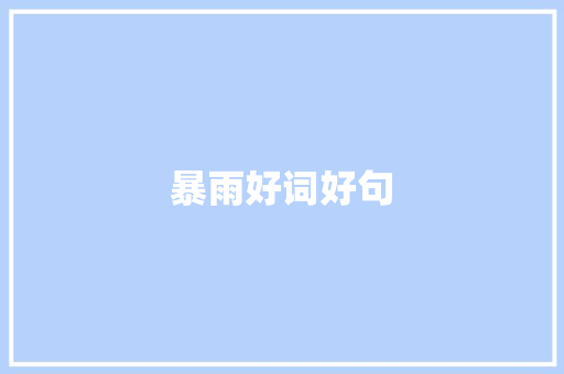 暴雨好词好句