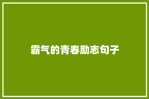 霸气的青春励志句子
