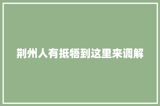荆州人有抵牾到这里来调解